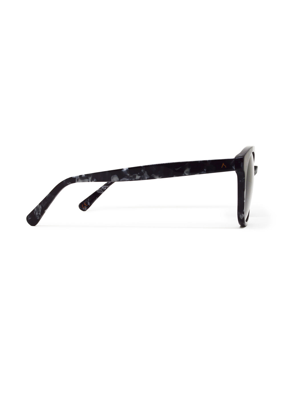 Vector Black Tortoise with Black Lenses